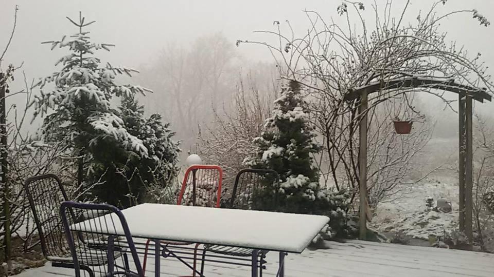 Appartamento Apasjonata Świdnica Esterno foto