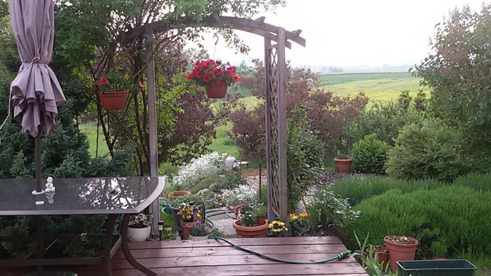 Appartamento Apasjonata Świdnica Esterno foto
